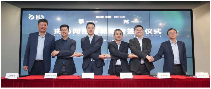 开放的斑马，受益的不止尊龙凯时人生就是搏